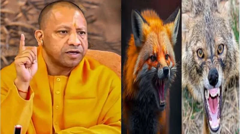 योगी सरकार