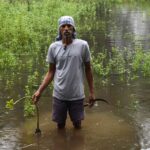 बंगाल में भारी बारिश से फसल बर्बाद बंगाल