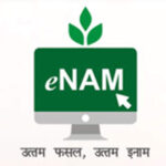 केंद्र सरकार ने e-NAM प्लेटफॉर्म पर बनारसी पान सहित 7 नए प्रोडक्ट जोड़े केंद्र सरकार