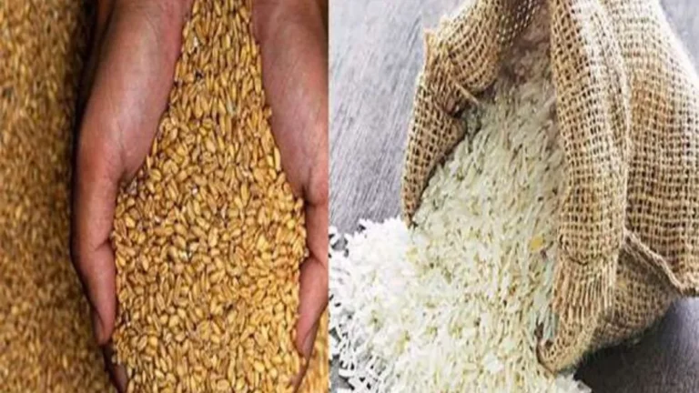 चावल भंडार