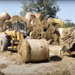 पराली प्रबंधन