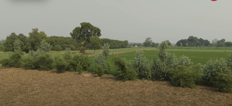 असमान बारिश