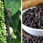 काली मिर्च की खेती