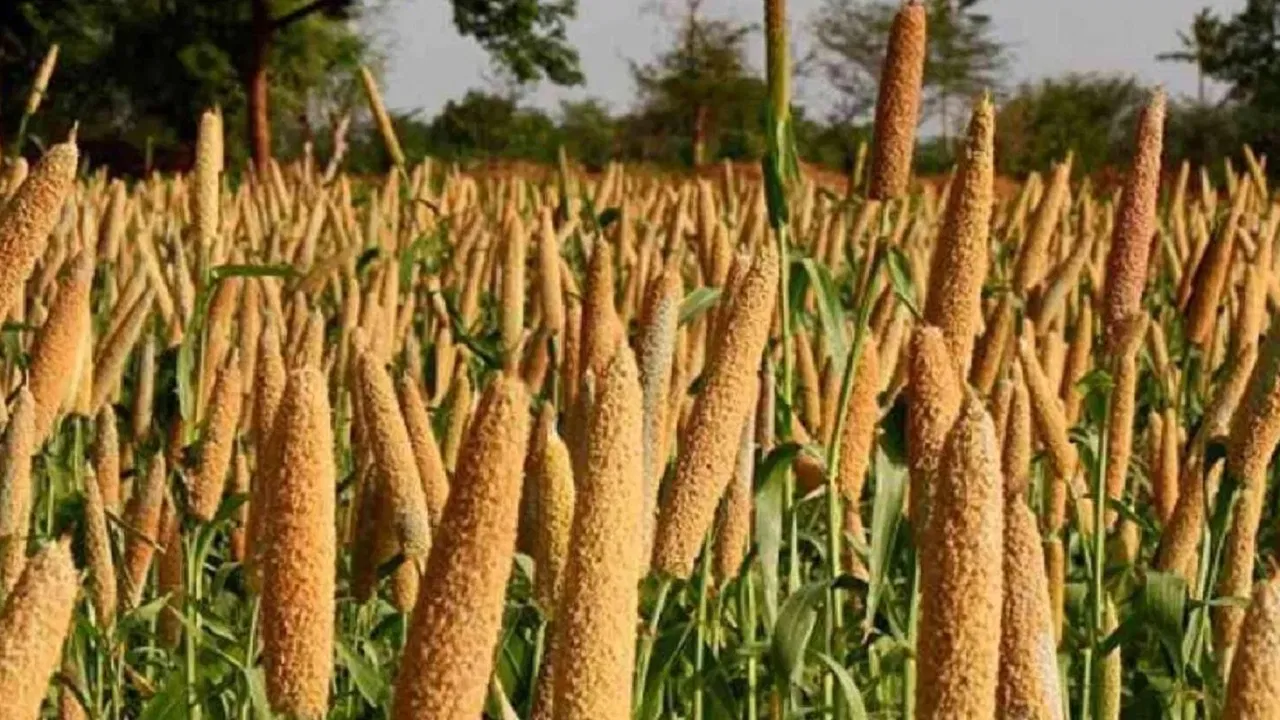 योगी सरकार