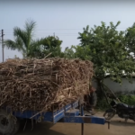 भारत का Sugar Industry ₹1.3 लाख करोड़ का हुआ, इथेनॉल उत्पादन क्षमता 11 साल में चार गुना बढ़ी : केंद्रीय मंत्री इथेनॉल उत्पादन