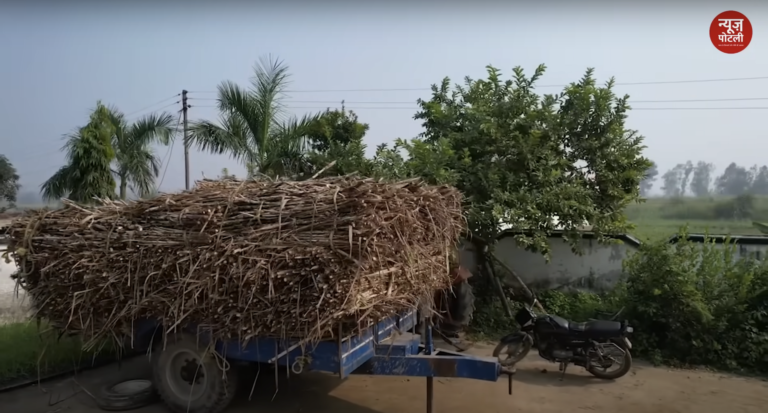 इथेनॉल उत्पादन