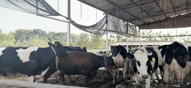 ब्लड बैंक और ट्रांसफ्यूजन