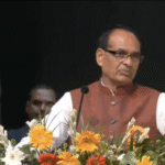 भारत का विकास