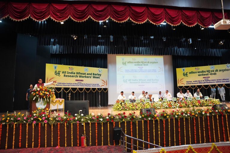 गेहूं-चावल