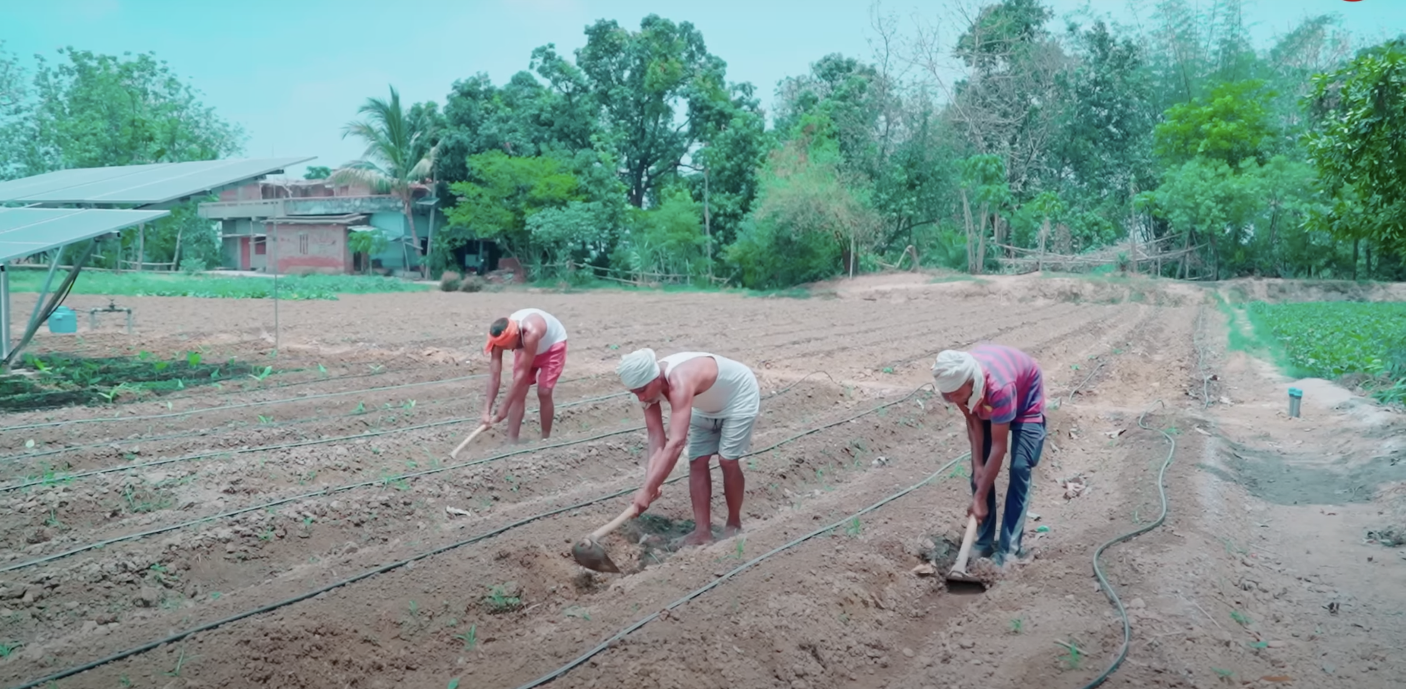 प्रधानमंत्री मोदी