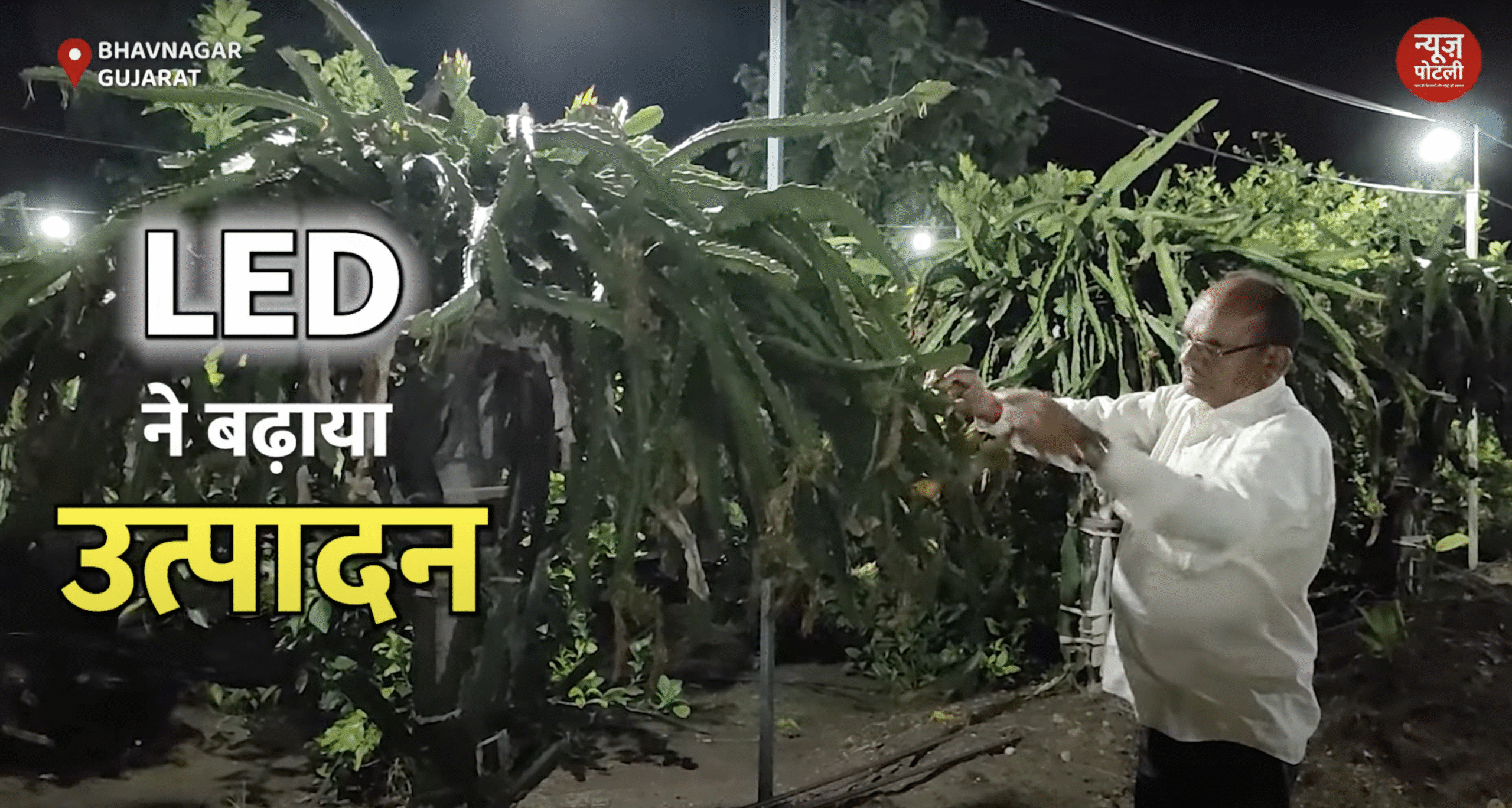 गुजरात