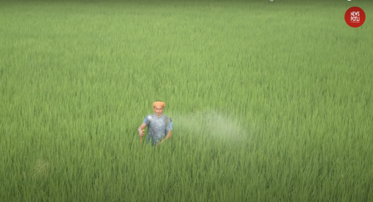 खाद आपूर्ति