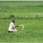 उर्वरक कंपनियों ने सरकार से मांगी राहत
