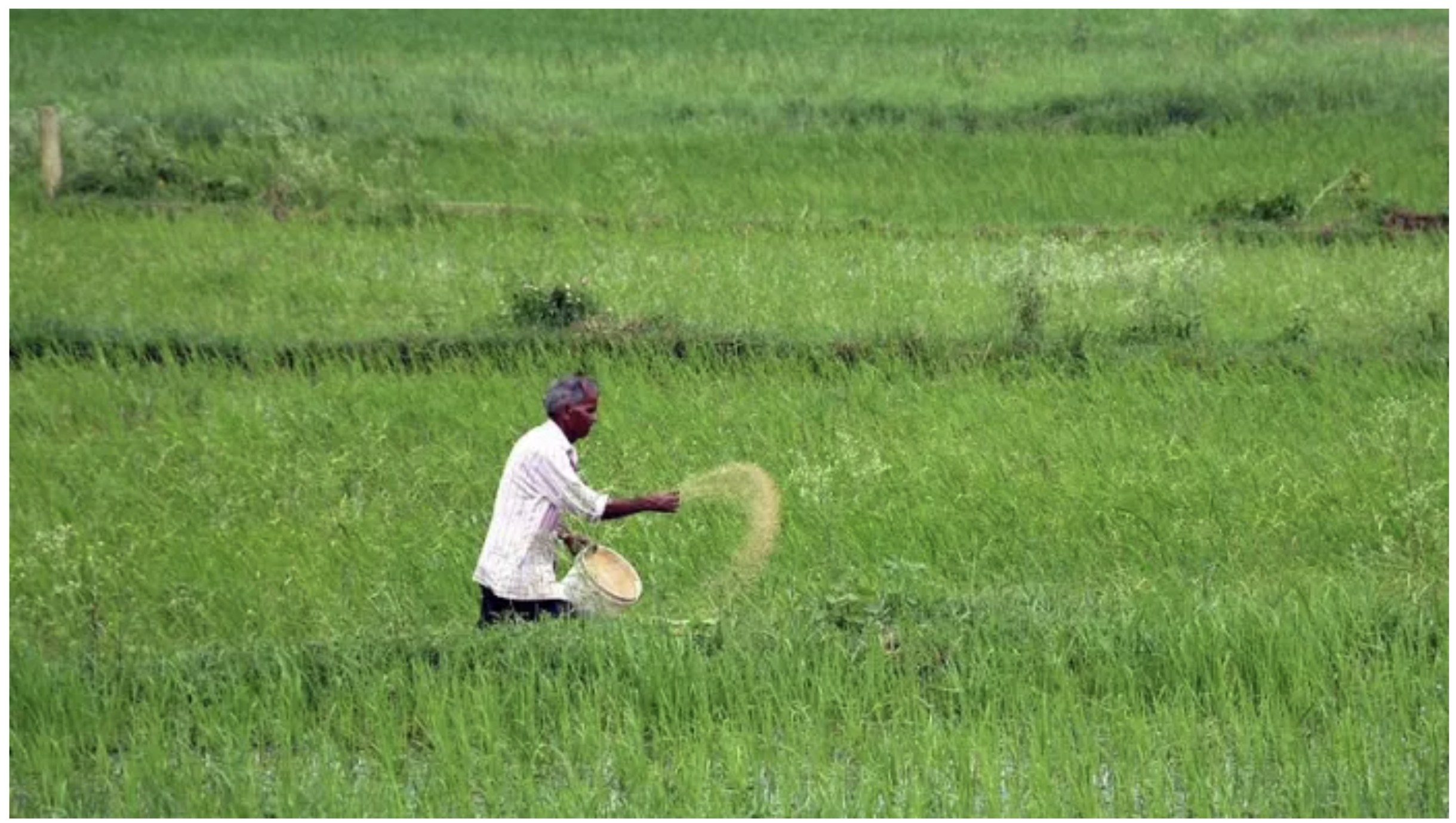 उर्वरक कंपनियों ने सरकार से मांगी राहत