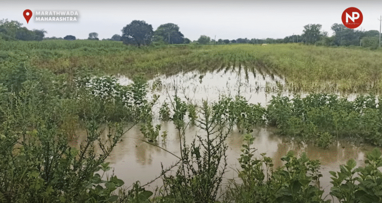 मराठवाड़ा और विदर्भ में सबसे ज्यादा नुकसान