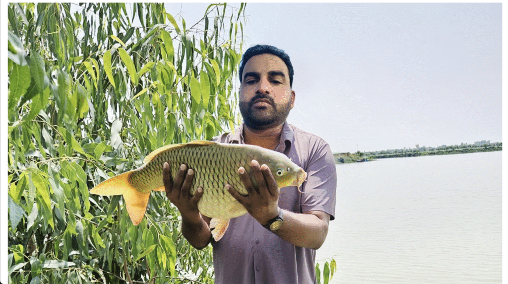 उप्र मत्स्य विभाग