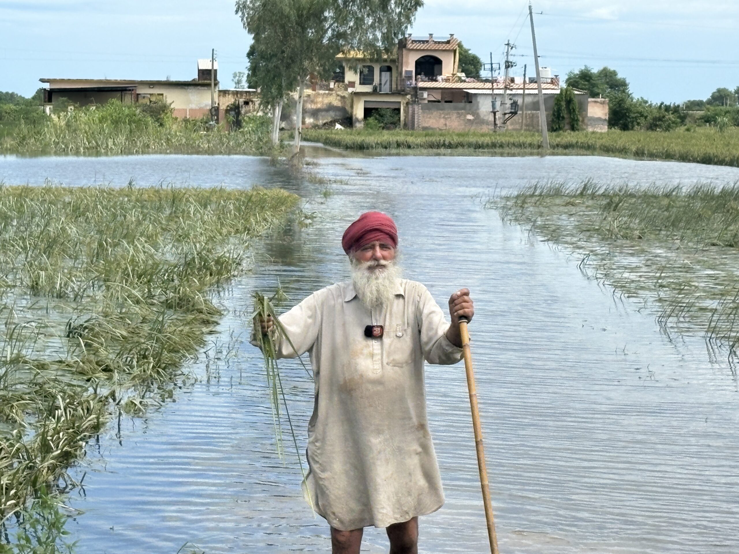 सितंबर तय करेगा खरीफ की पैदावार