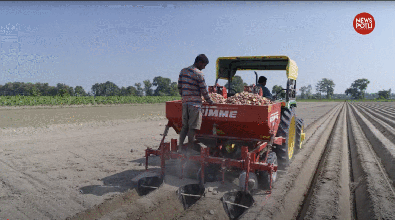 जय सिंह से जानिए आलू की खेती में मुनाफे का फॉर्मूला