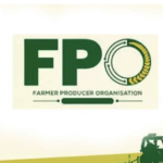 FPO