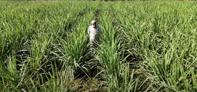 उत्तर प्रदेश