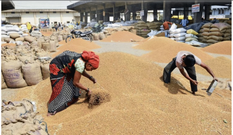 नई फसल आने तक नहीं होगा फैसला