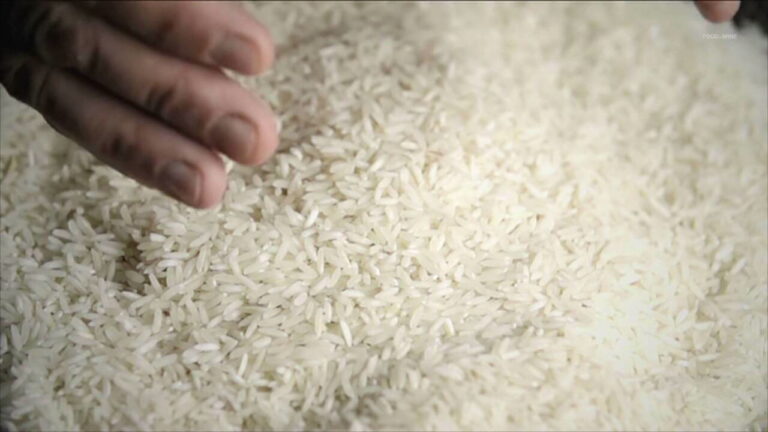 गेहूं स्टॉक