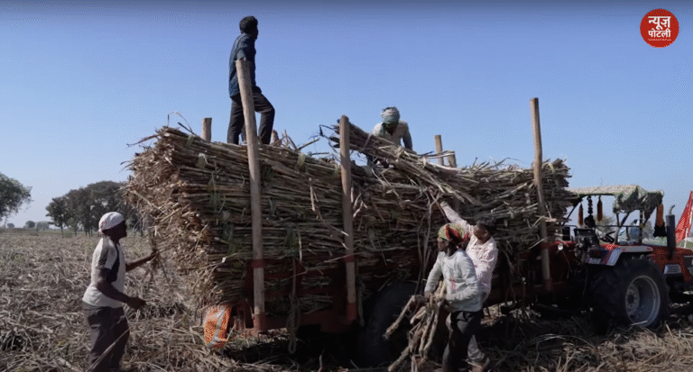 एथेनॉल उत्पादन