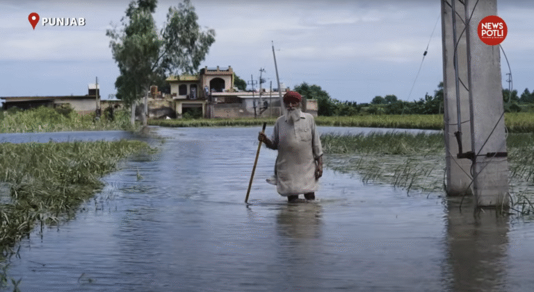 मंडियों को किया जा रहा तैयार