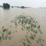 23 जिलों के 1200 से ज्यादा गांव प्रभावित