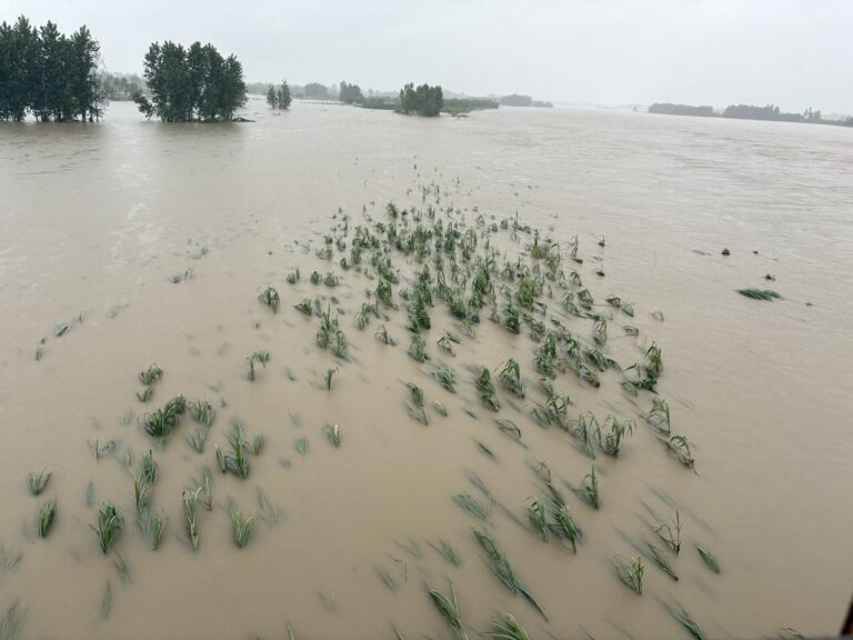 23 जिलों के 1200 से ज्यादा गांव प्रभावित