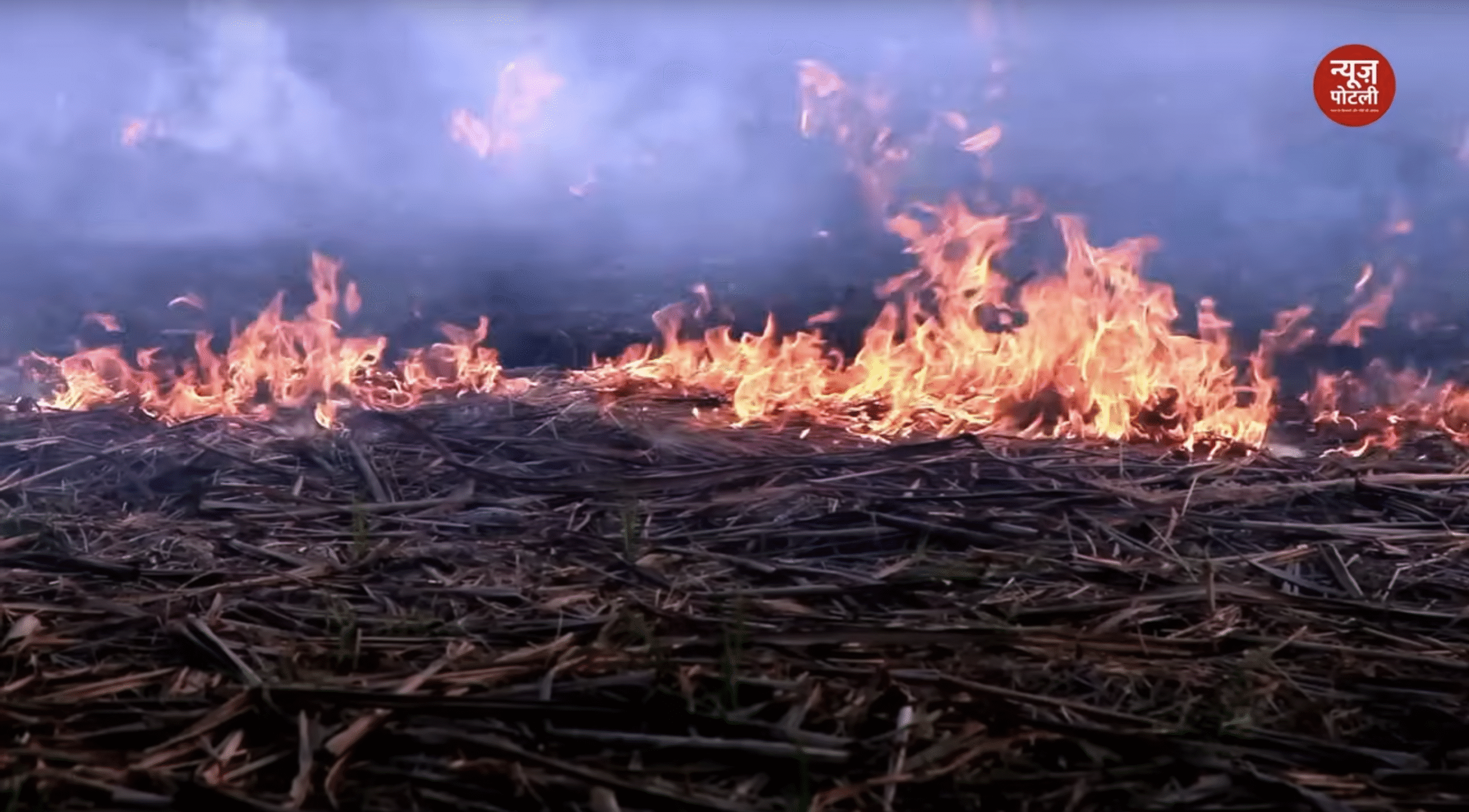 पराली जलाने पर सुप्रीम कोर्ट की टिप्पणी