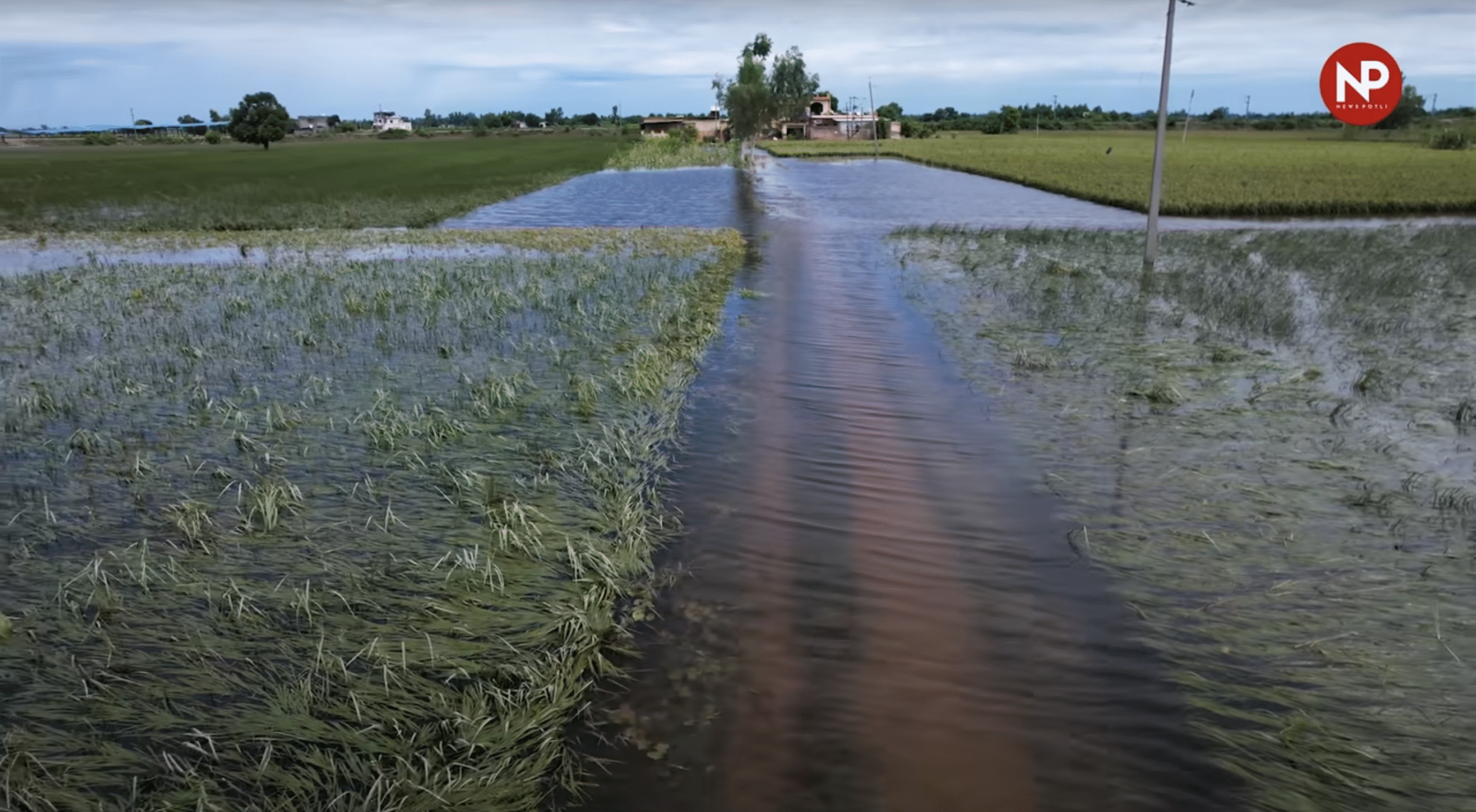 एग्रोमेट ने किसानों के लिए जारी की एडवाइजरी