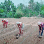 बिहार में बड़ा प्रशिक्षण कार्यक्रम