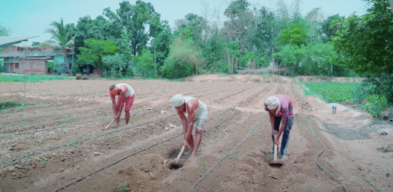 बिहार में बड़ा प्रशिक्षण कार्यक्रम