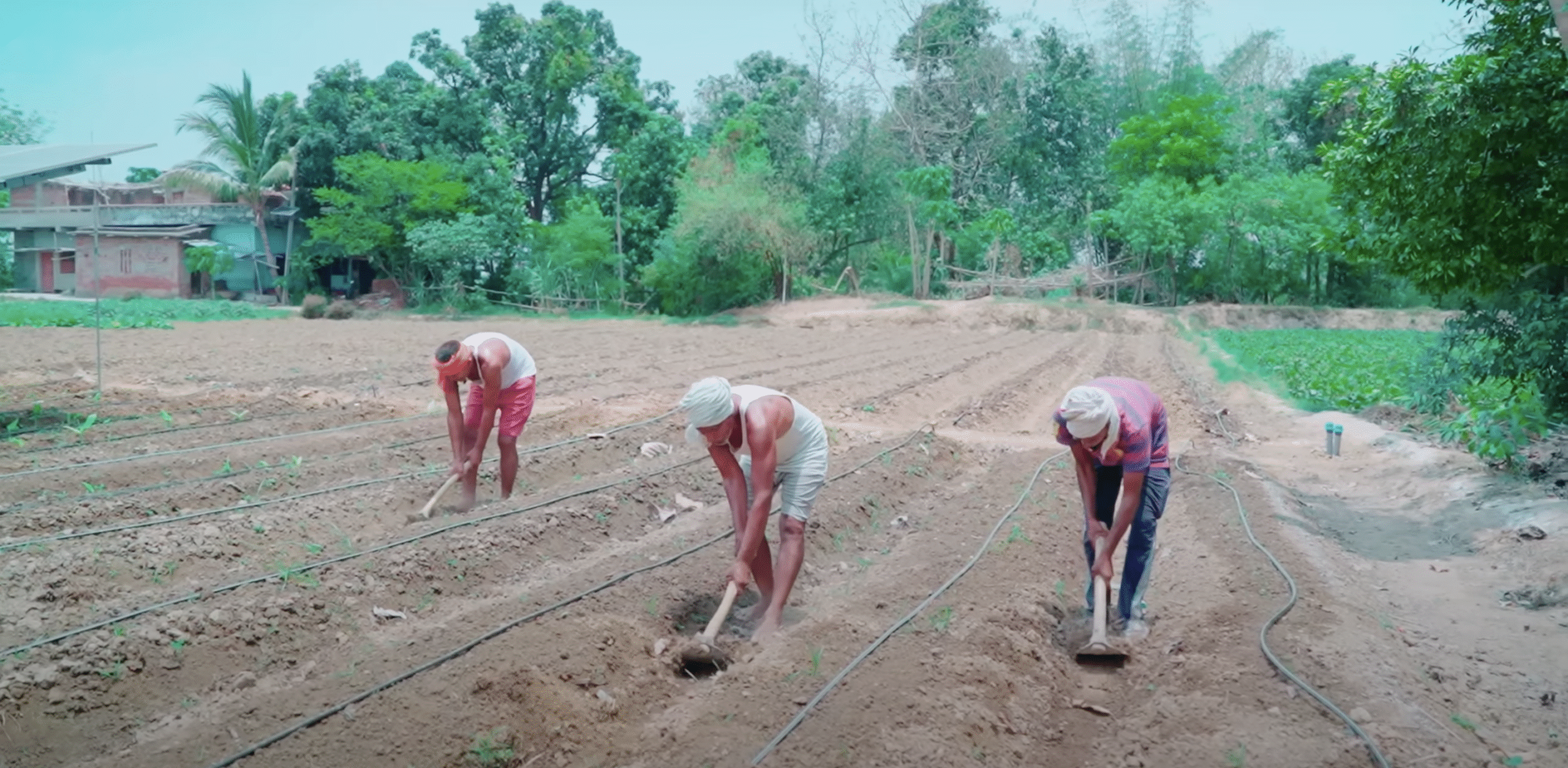 बिहार में बड़ा प्रशिक्षण कार्यक्रम
