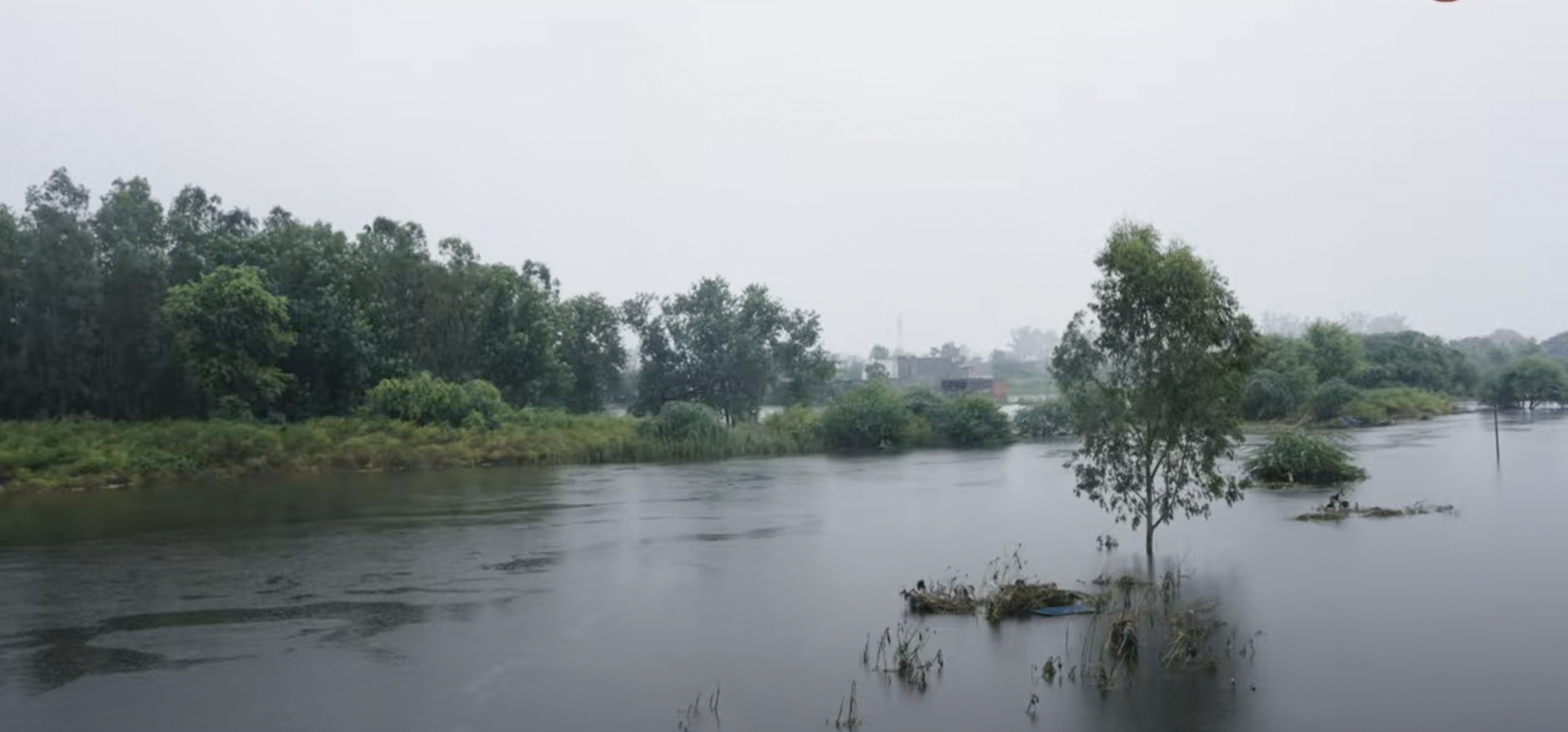 अनोखा एआई मौसम कार्यक्रम