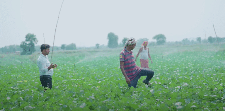 खरीफ फसल