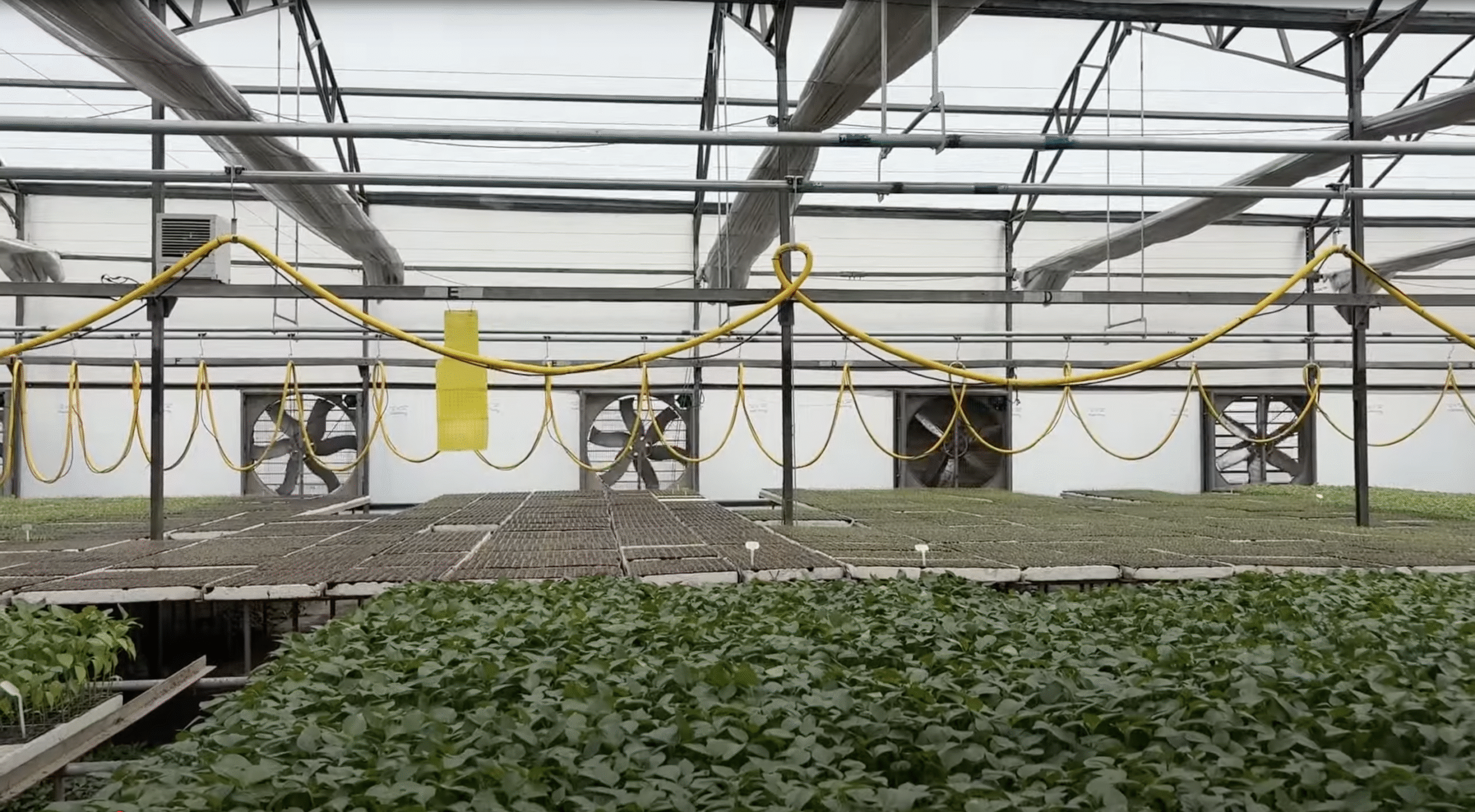 HAU हिसार में अक्टूबर में मुफ्त कृषि और व्यवसाय ट्रेनिंग