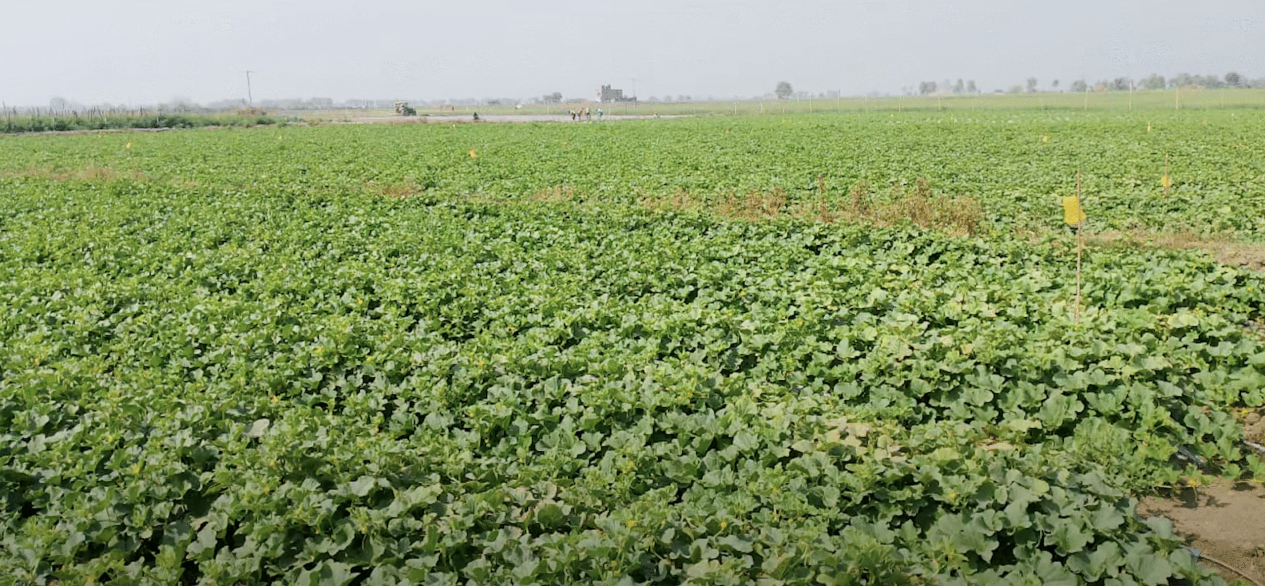 यूपी के सबसे ज्यादा जिले शामिल