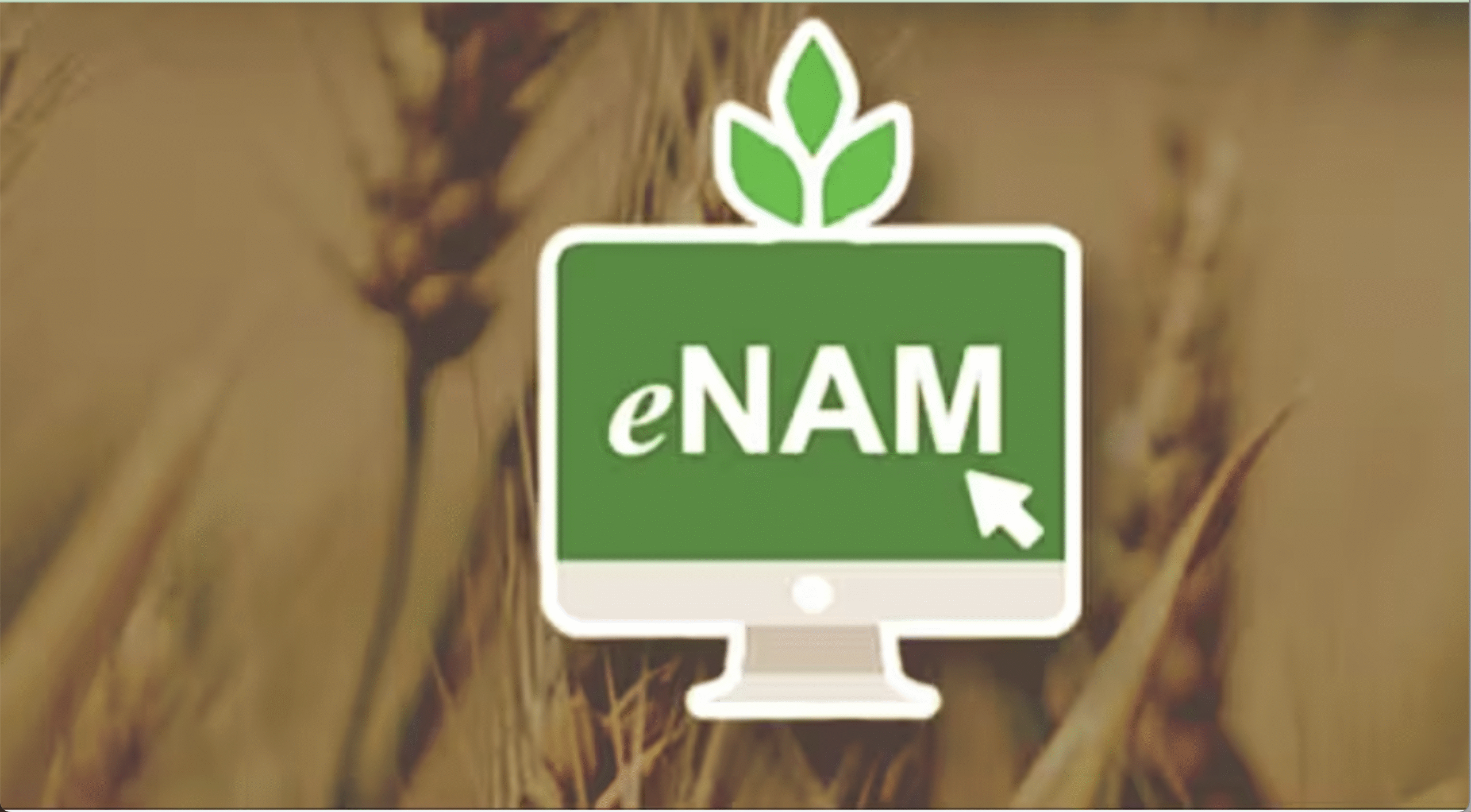 ई-नाम में शामिल हुईं 9 नई कृषि वस्तुएं