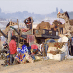 पुष्कर मेला 2025