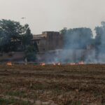 पराली ना सिर्फ पर्यावरण को नुकसान पहुंचा रही है, हमारे खेतों को भी बर्बाद कर रही है, उनकी उर्वरक क्षमता को कम कर रही है। सबसे ज्यादा पराली धान 43% फीसदी, गेहूं 21%  और गन्ने 19 % फसलों से निकलती है।