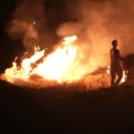 हर साल की तरह इस बार भी दिवाली के बाद दिल्ली-एनसीआर में वायु प्रदूषण खतरे के निशान के ऊपर बना हुआ है।