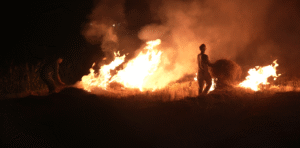 हर साल की तरह इस बार भी दिवाली के बाद दिल्ली-एनसीआर में वायु प्रदूषण खतरे के निशान के ऊपर बना हुआ है।