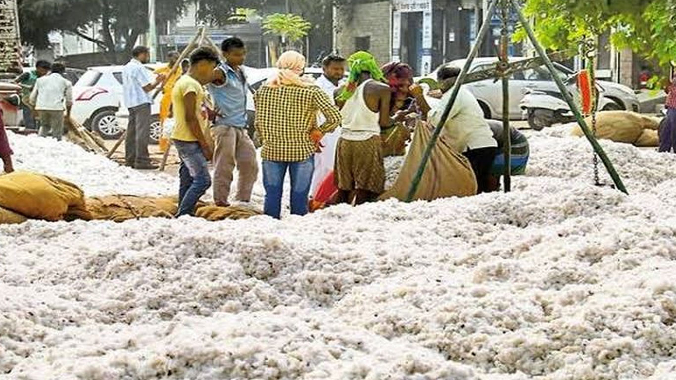 कपास की खरीद