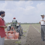 बहराइच के जय सिंह बने केले की खेती के मिसाल