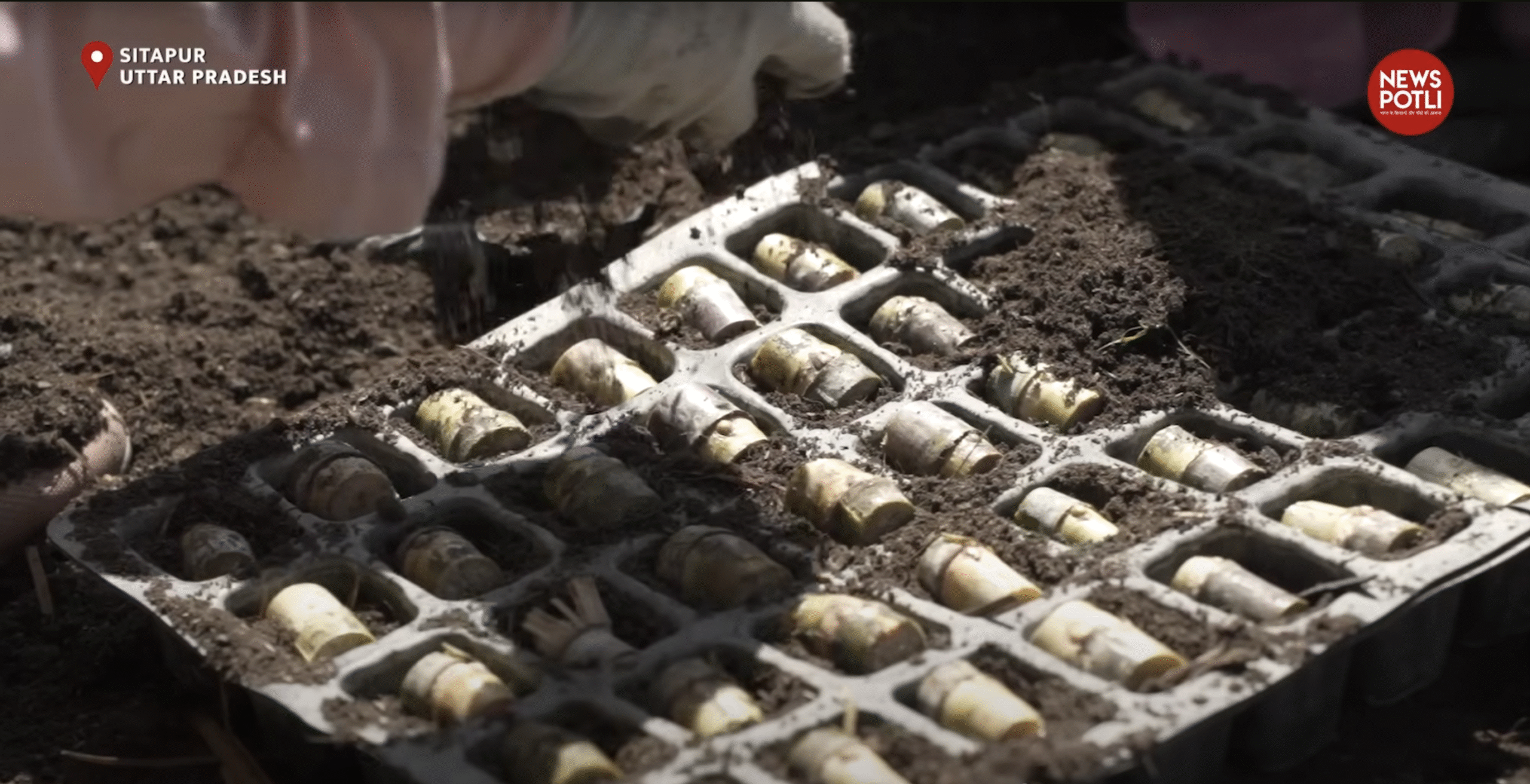 उत्तर प्रदेश