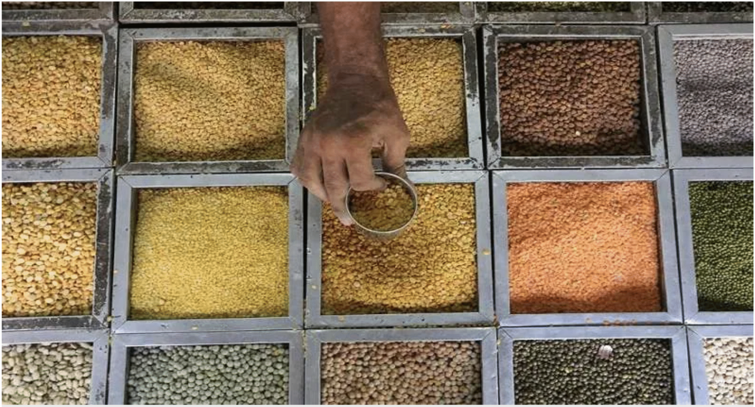 पल्सेज आत्मनिर्भरता मिशन