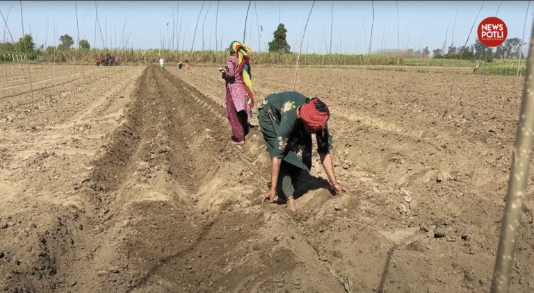 खेती को बचाने के लिए किसानों की 17 मांगें