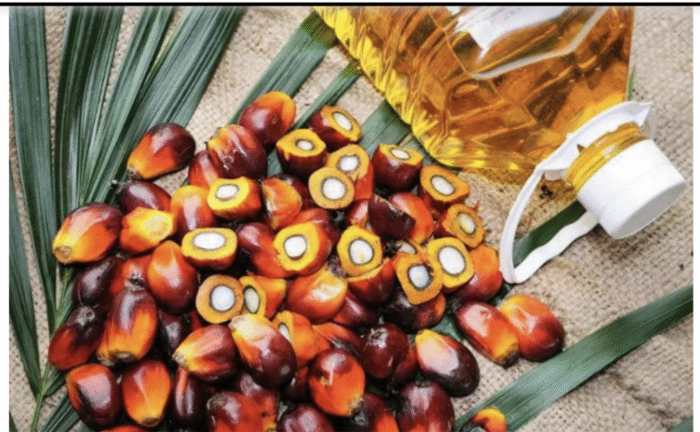 रिफाइंड तेलों का आयात हुआ शून्य